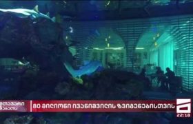 80 მილიონი ივანიშვილის ზვიგენებისთვის – ოზურგეთის მოსახლეობა უწყლოდ დარჩა