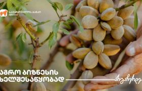 საქართველოს ბანკი მცირე და საშუალო ბიზნესს ახალ აგროპროექტს  სთავაზობს