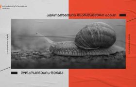 საქართველოს ბანკის მხარდაჭერით  აბაშაში ლოკოკინების ფერმა გაიხსნება