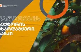 საქართველოს ბანკის მხარდაჭერით ადგილობრივ ბაზარზე კომპანია “Georgia`s Natural”-ის ბრენდი გამოჩნდა