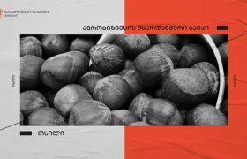 საქართველოს ბანკის მხარდაჭერით ოზურგეთში თხილის გადამამუშავებელი ქარხნის წარმოება იზრდება