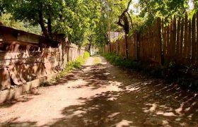 ლენტეხში როლანდ ქურასბედიანმა ფრიდონ ქურასბედიანი მოკლა