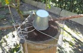 ხაშურში 2 ძმა ჭაში დაიხრჩო ხაშურში 2 ძმა ჭაში დაიხრჩო