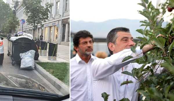 „ჭავჭავაძეზე ნაგავი ვერ გაუტანია და გორში ვაშლის ბაღებს ათვალიერებს ბატონი კალაძე“