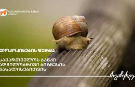 საქართველოს ბანკის მხარდაჭერით ზუგდიდში ლოკოკინების ფერმა გაშენდა