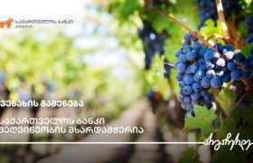 საქართველოს ბანკის მხარდაჭერით ყვარელში ვენახი გაშენდა