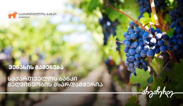 საქართველოს ბანკის მხარდაჭერით ყვარელში ვენახი გაშენდა