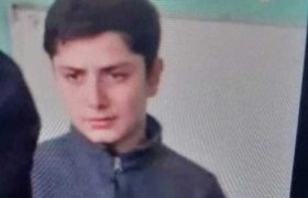 "მოდი, დაგემშვიდობოთ, სამახსოვრო ფოტო გადავიღოთო, დედისთვის უთქვამს" - თელეთში 15 წლის ტატო ვარდიაშვილს ეძებენ "მოდი, დაგემშვიდობოთ, სამახსოვრო ფოტო გადავიღოთო, დედისთვის უთქვამს" - თელეთში 15 წლის ტატო ვარდიაშვილს ეძებენ