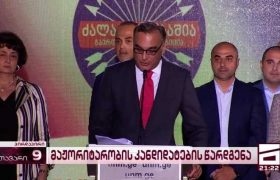 ნაციონალებმა მაჟორიტარობის კანდიდატები წარადგინეს