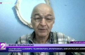 "სატელიტის ფოტოები უცხოეთიდან მომაწოდეს, ვიძიებ დიდ საქმეს, რომლის ნაწილია ბაჩალიაშვილის საქმე" - დავით ფურცხვანიძე