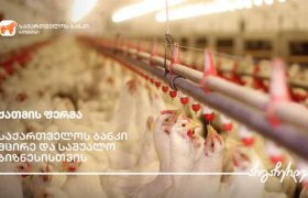 საქართველოს ბანკის მხარდაჭერით გორში ქათმის ფერმა აშენდა