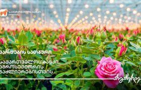 საქართველოს ბანკის მხარდაჭერით ოზურგეთში ვარდების სათბური აშენდა
