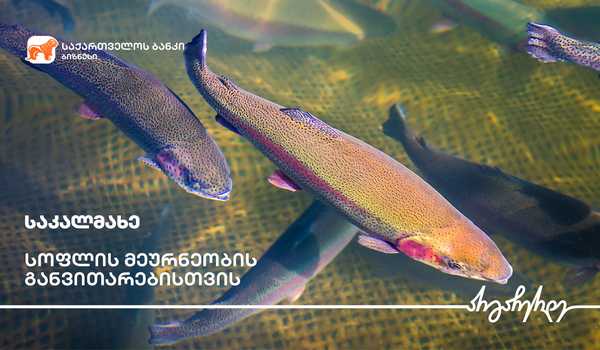 საქართველოს ბანკის  მხარდაჭერით გორში საკალმახე მეურნეობა გაფართოვდა