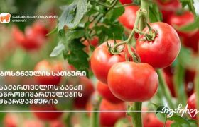 საქართველოს ბანკის მხარდაჭერით კასპში სასათბურე ბიზნესი ფართოვდება