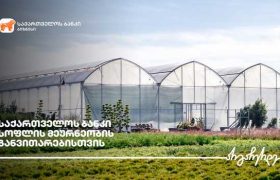 საქართველოს ბანკის  მხარდაჭერით აბაშაში სათბურები აშენდა