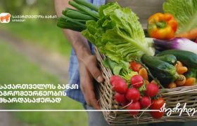 საქართველოს ბანკის მხარდაჭერით  ქობულეთში  ბოსტნეულის  მეურნეობა გაფართოვდა