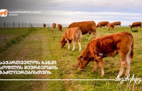 საქართველოს ბანკის მხარდაჭერით  სოფელ საჯავახოში ფერმა აშენდა