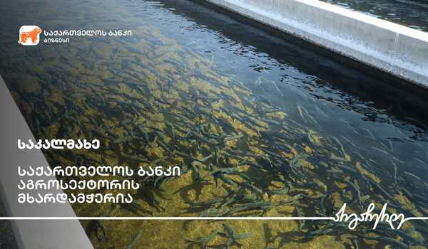 საქართველოს ბანკის  მხარდაჭერით გორში საკალმახე მეურნეობა გაფართოვდა