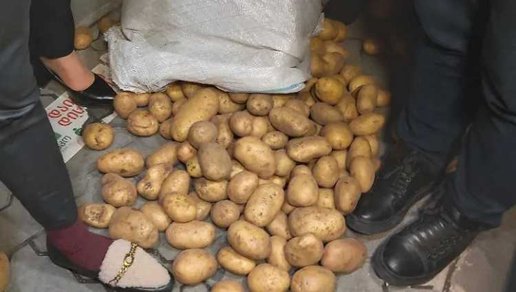 ისნის საოლქოსთან კარტოფილი მიიტანეს