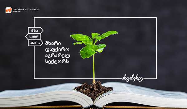 საქართველოს ბანკის მხარდაჭერით დმანისში შვეიცარიული აგროსკოლა გაიხსნება