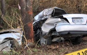 ფოთში ავარიაში 2 მამაკაცი დაიღუპა - მერსედესი ხეს შეასკდა