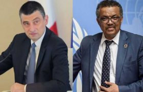 გახარია - "პფაიზერის ვაქცინა თებერვლის ბოლომდე შემოვა, მადლობა ტედროს გებრეიესუსს"