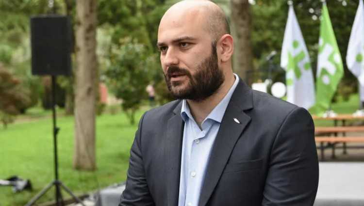 გენრი დოლიძემ ელისაშვილის პარტია დატოვა