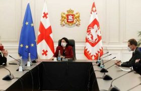 სალომე ზურაბიშვილთან აშშ-ის და სხვა ქვეყნების ელჩები მივიდნენ