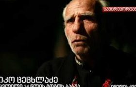 ნინი ცეცხლაძის ბაბუა სულიკო ცეცხლაძე დააკავეს