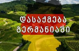 გერმანიაში 350 სამუშაო ადგილზე საქართველოს 97.436 მოქალაქე აცხადებს პრეტენზიას