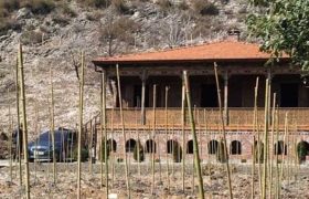 გახარია სამეგრელოში ჩავიდა - მის სახლთან მუხურში სამთავრობო დაცვა დგას