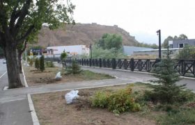 გორის გოგებაშვილის ქუჩა ყველაზე სუფთა და ლამაზ ქუჩად დასახელდა