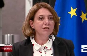 სალომე სამადაშვილი მიშელის დოკუმენტზე - "ნაბიჯი წინ გადაიდგა"