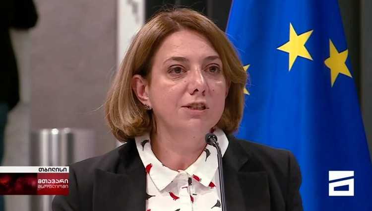 სალომე სამადაშვილი - "მზად ვარ, მიშელის დოკუმენტს ხელი მოვაწერო"