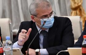 ირაკლი ქადაგიშვილი - "ოპოზიციას მელია მძევლად ჰყავს აყვანილი"