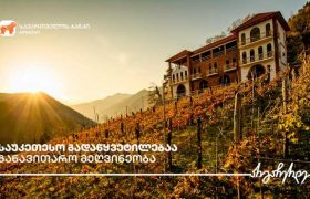 საუკეთესო გადაწყვეტილებაა განავითარო მეღვინეობა