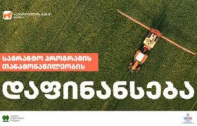 საქართველოს ბანკი USAID-ისა და RDA-ს საგრანტო პროექტებში მონაწილეობისთვის ფერმერებს თანადაფინანსებას სთავაზობს
