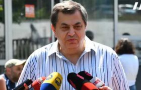 დავით ბერძენიშვილი - "გახარია პოლიტიკური კეთროვანია"