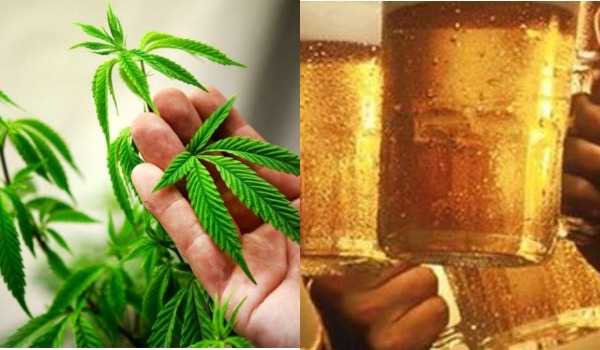 ვაშინგტონში აცრის მსურველებს ლუდს ან მარიხუანას აჩუქებენ