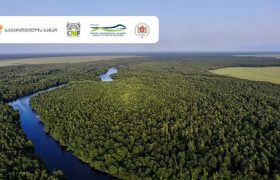 საქართველოს ბანკის მხარდაჭერით ოთხ დაცულ ტერიტორიას UNESCO-ს მსოფლიო ბუნებრივი მემკვიდრეობის სტატუსი მიენიჭა