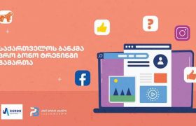 საქართველოს ბანკმა  საქართველოს სტრატეგიული კვლევებისა და განვითარების ცენტრთან ერთად პრო ბონო ვებინარი გამართა