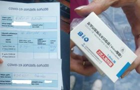 „ფაიზერის მეორე დოზაზე მისული სინოფარმით ამცრეს“ - მარი ჭეიშვილი