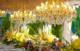 ქორწილი გარდენიაში - ობიექტი 2.000 ლარით დაჯარიმდა - რატომ დუმს ზურაბ შევარდნაძე