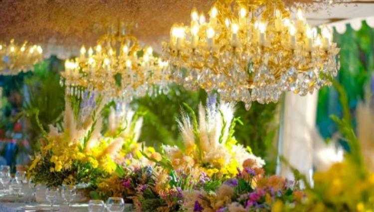 ქორწილი გარდენიაში - ობიექტი 2.000 ლარით დაჯარიმდა - რატომ დუმს ზურაბ შევარდნაძე