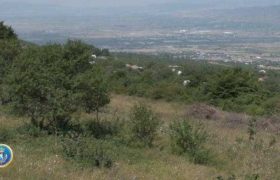 3 მილიონის ღირებულების მიწების მიტაცებისთვის 1 პირი დააკავეს 3 მილიონის ღირებულების მიწების მიტაცებისთვის 1 პირი დააკავეს