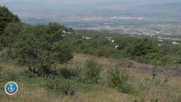 3 მილიონის ღირებულების მიწების მიტაცებისთვის 1 პირი დააკავეს