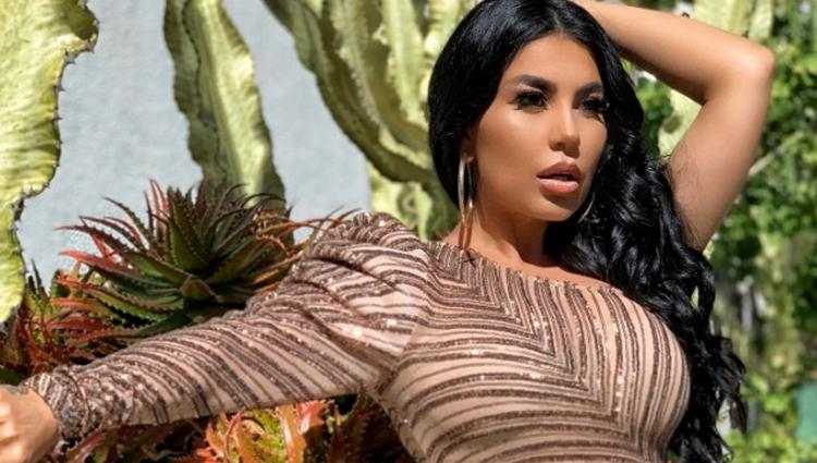 ავღანელი პოპ ვარსკვლავი ქვეყნიდან ამერიკული სატვირთო ბორტით გაიქცა