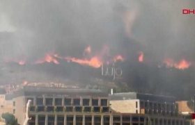 2 ბავშვი ფიჭვნარში წიგნებს წვავდა და ცეცხლი ტერიტორიას მოედო - როგორ გაჩნდა თურქეთში დიდი ხანძარი