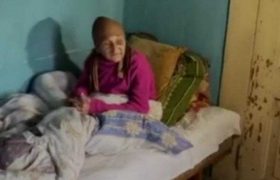 როგორ გაცოცხლდა მარგო ბაღიშვილი ოზურგეთში - ახალი დეტალები