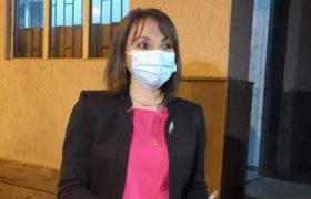 სოფიო გოგლიჩიძე - "რაფაელ მურსაკულოვის უსაფრთხოება დაცული არ იყო, მას პირისპირ ვერ შევხვდი"